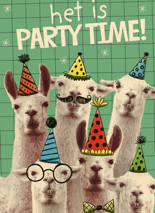 het is partytime met deze lamas