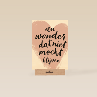 zwangerschap moeilijke momenten een wonder dat niet mocht blijven