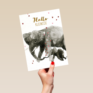 Geboortefelicitatie olifant hallo kleintje