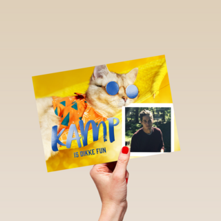 Kamp is dikke fun fotokaart kat