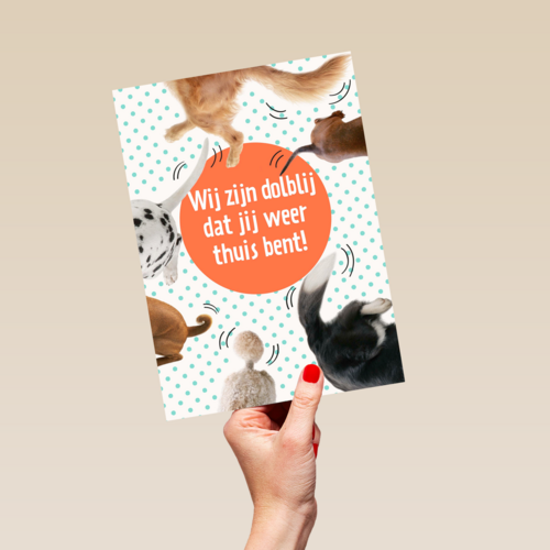 dolblij dat jij weer thuis bent