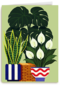 Nieuw Huis Planten