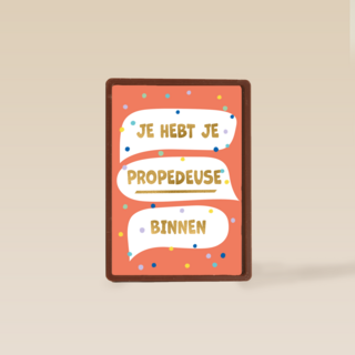 Je hebt je propedeuse binnen
