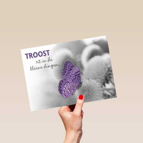 troost zit in kleine dingen 1