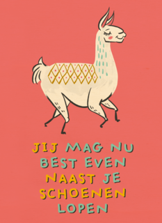 naast je lama schoenen lopen