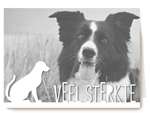 Kaart Hallmark | Condoleance Kaarten | Fotokaart Veel Sterkte Verlies Huisdier Hond