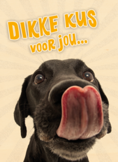 Beterschapskaart Lieve hond Dikke kus voor jou