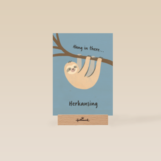 Geslaagd Hang in there herkansing