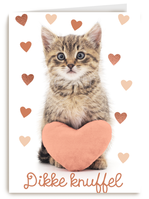 Liefde kaart kat met hart en dikke knuffel