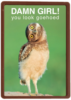 damn girl you look goehoed