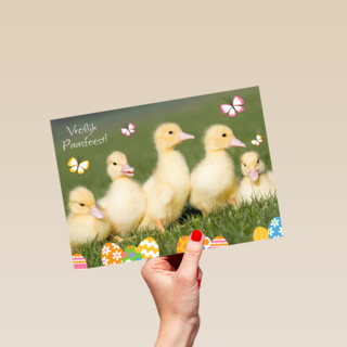 vrolijk passfeest eendjes kaart