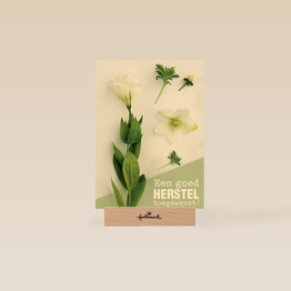 botanical kaart een goed herstel toegewenst