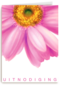grote roze gerbera