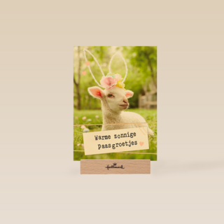 Warme zonnige paasgroetjes