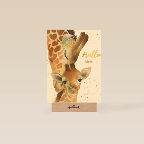 geboorte hallo kleintje giraffe