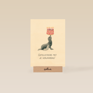 Zeeleeuw met taart verjaardagskaart