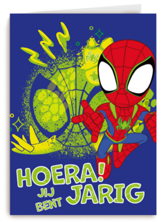 Spidey and friends Hoera