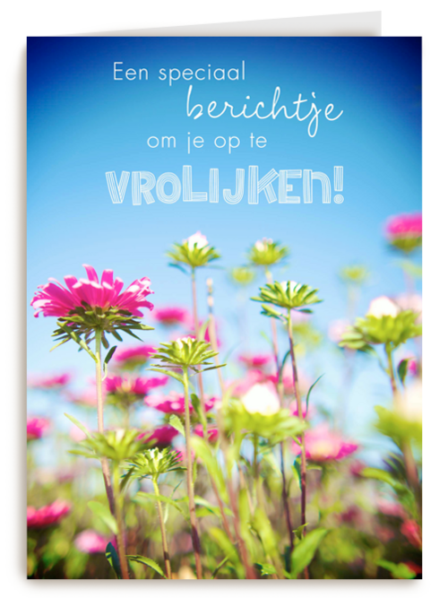 bloemenveld om je op te vrolijken
