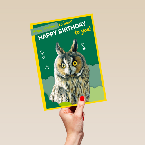 Happy Birthday to hoo
