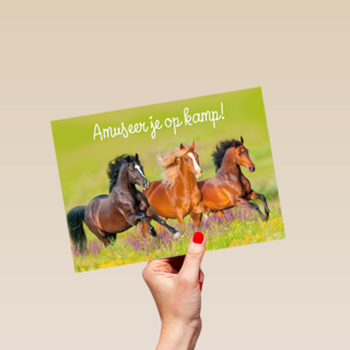 amuseer je op kamp