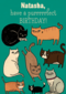 verjaardag vrouw grappig have a purrrrfect birthday