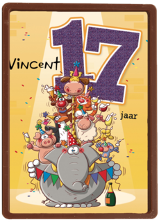 verjaardag leeftijden lorenzo de bruin 17