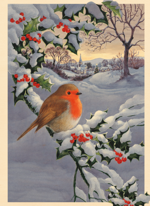 Houten Kaart | Roodborstje Op Besneeuwde Tak