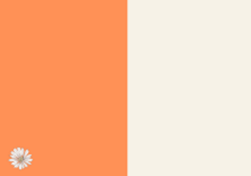 Verjaardagskaart oranje met bloemen