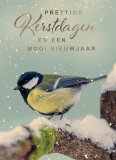 Kerstkaart vogel op tak winter