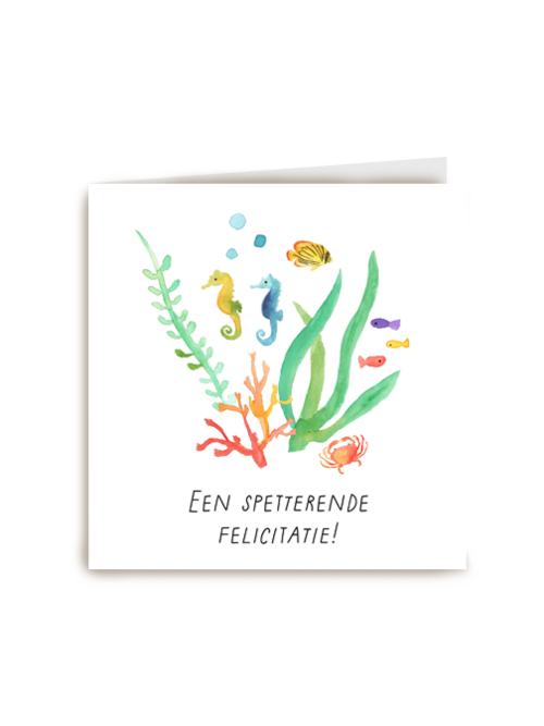 Verjaardagskaart Hallmark | Verjaardagskaart Een Spetterende Felicitatie