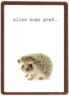 Sterkte kaart Furry Cuddles egeltje