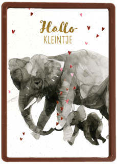Geboortefelicitatie olifant hallo kleintje