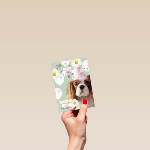 prodo dieren lieve gefeliciteerd met je verjaardag