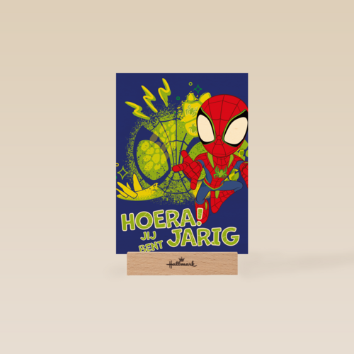 Spidey and friends Hoera