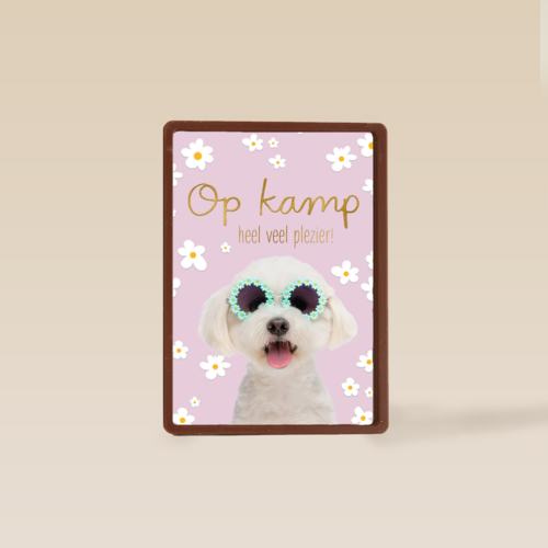 Hond op kamp