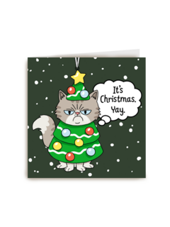 It's Christmas, Yay! Cat