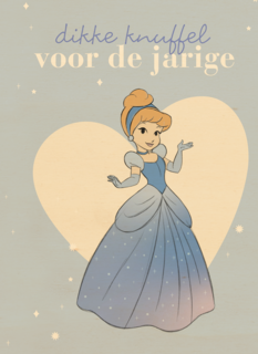 prinses kaart disney dikke knuffel voor de jarige assepoester