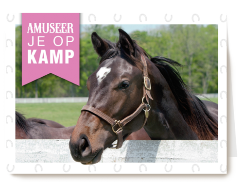 amuseer je op paardenkamp