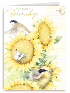 zonnebloemen met mus beterschap