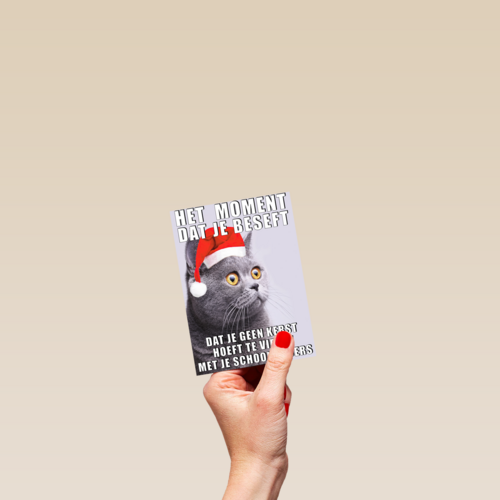 Kerstkaart Grappig Geen kerst met je schoonouders