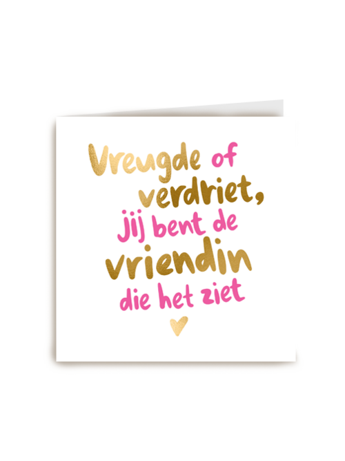 vriendschap kaart jij bent de vriendin die het ziet