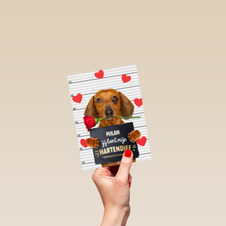 valentijn kaart hond jij bent mijn hartendief