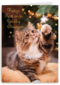 Prettige kerst en gelukkig nieuwjaar kat