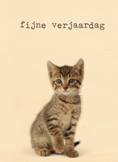 Verjaardagskaart Furry cuddles poes