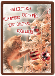 meertalig kat en kerstboom