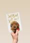 verjaardag te laat sorry het spijt me puppy