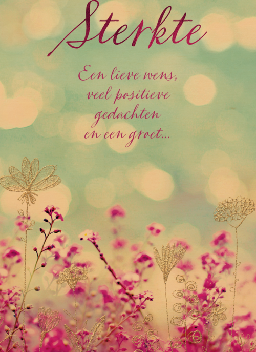 Houten Kaart | Ombouw Veel Sterkte