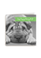 zielige hond beterschap