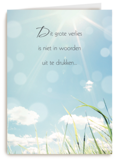 grote verlies woorden uit te drukken