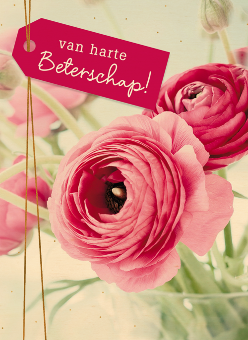 Houten Kaart Beterschapskaarten | Houten Kaart Hallmark | Beterschapskaarten | Beterschapskaart Vrouw Bloemen Van Harte Beterschap